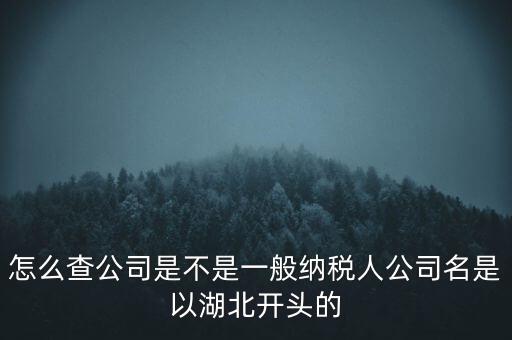 如何查詢企業(yè)是否是一般納稅人，怎么查公司是不是一般納稅人公司名是以湖北開頭的