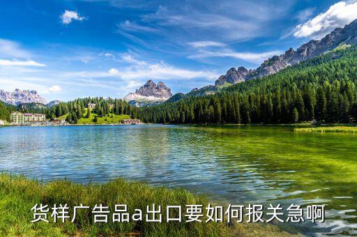 貨樣廣告品a如何申報，貨樣廣告品a出口要如何報關(guān)急啊