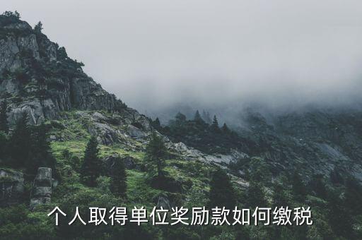 政府獎(jiǎng)勵(lì)如何繳納個(gè)人所得稅，獎(jiǎng)勵(lì)基金怎么扣個(gè)人所得稅