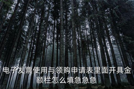 電子發(fā)票使用與領(lǐng)購申請(qǐng)表里面開具金額欄怎么填急急急