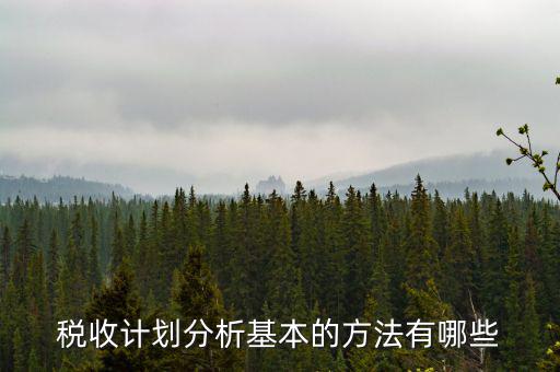 如何打造稅收分析拳頭產(chǎn)品，如何做好稅收預(yù)測(cè)工作