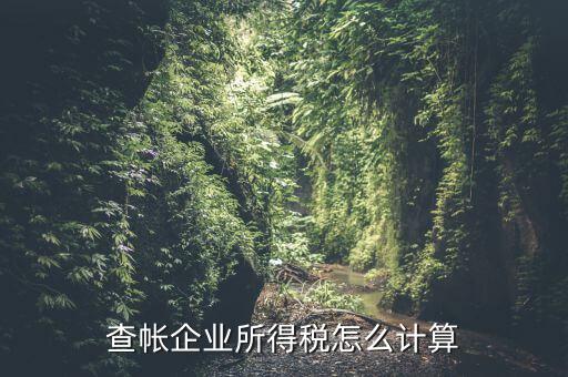 企業(yè)所得稅如何查賬，企業(yè)所得稅計算 查賬法