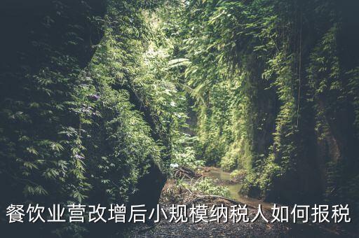 營(yíng)改增后小規(guī)模納稅人如何報(bào)稅，營(yíng)改增后小規(guī)模的怎么報(bào)稅