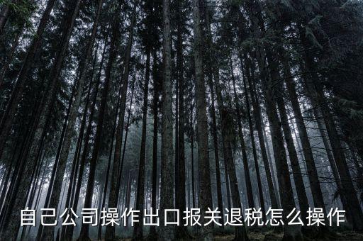 如何根據(jù)報(bào)關(guān)單退稅，報(bào)關(guān)到退稅的流程是怎樣的