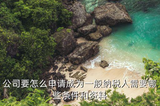 一般納稅人如何辦理，公司要怎么申請成為一般納稅人需要哪些條件和資料