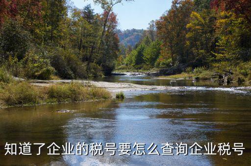 國(guó)際企業(yè)稅號(hào)如何查詢系統(tǒng)，美國(guó)客戶的稅號(hào)怎么網(wǎng)上查嗎