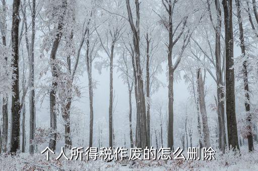 如何刪除已審核的地稅報表，已遞上的地稅網(wǎng)上財務(wù)報表系統(tǒng)的報表能否刪除