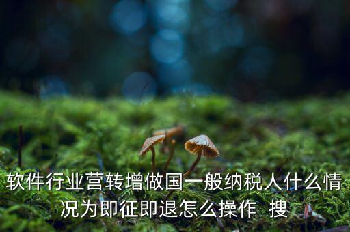 即征即退政策如何辦理，軟件行業(yè)營(yíng)轉(zhuǎn)增做國(guó)一般納稅人什么情況為即征即退怎么操作  搜