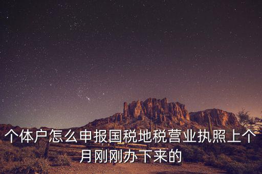 個(gè)體定額如何申報(bào)國(guó)稅，個(gè)體戶如何申報(bào)國(guó)稅和地稅