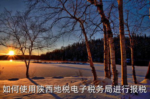如何使用陜西地稅電子稅務(wù)局進行報稅