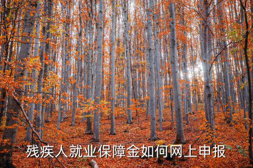 安徽殘疾人保障金如何網(wǎng)上申報，殘疾人就業(yè)保障金如何網(wǎng)上申報