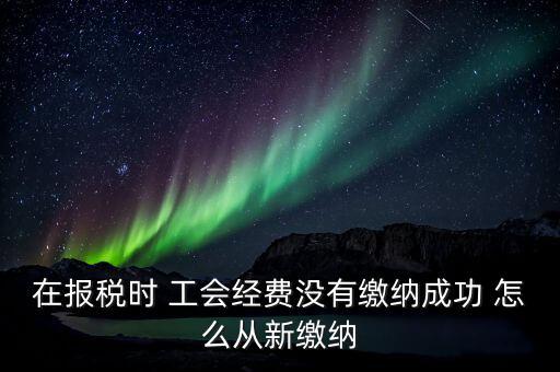 如何補(bǔ)繳工會經(jīng)費(fèi)，在報(bào)稅時(shí) 工會經(jīng)費(fèi)沒有繳納成功 怎么從新繳納