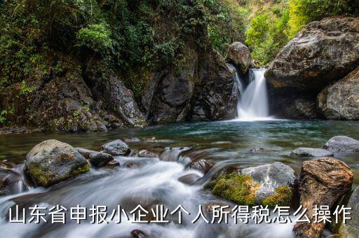山東省如何網(wǎng)上申報(bào)所得稅，山東國稅2008年度企業(yè)所得稅實(shí)行網(wǎng)上申報(bào)