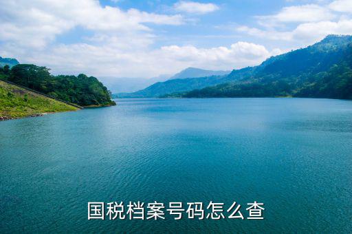 如何查地稅檔案，國(guó)稅檔案號(hào)碼怎么查
