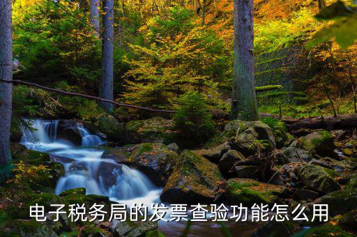 地稅的電子稅票如何查詢(xún)，電子稅務(wù)局的發(fā)票查驗(yàn)功能怎么用