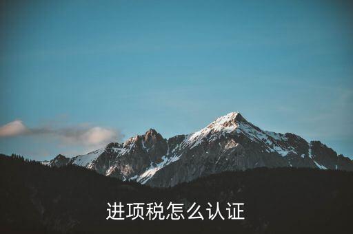 進項稅怎么認(rèn)證