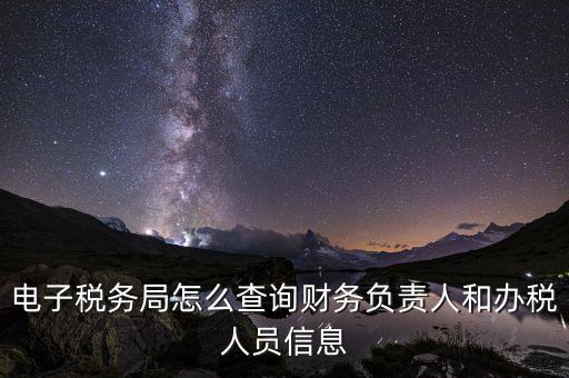 電子稅務(wù)局怎么查詢財務(wù)負責(zé)人和辦稅人員信息