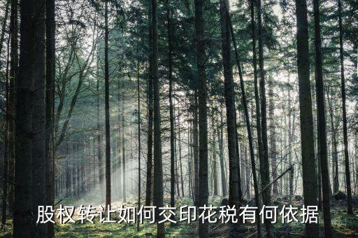 資產(chǎn)轉(zhuǎn)讓如何交印花稅，股權(quán)轉(zhuǎn)讓如何交印花稅有何依據(jù)