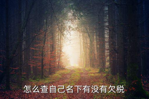 如何查欠稅記錄，怎么查個(gè)人有沒有欠稅