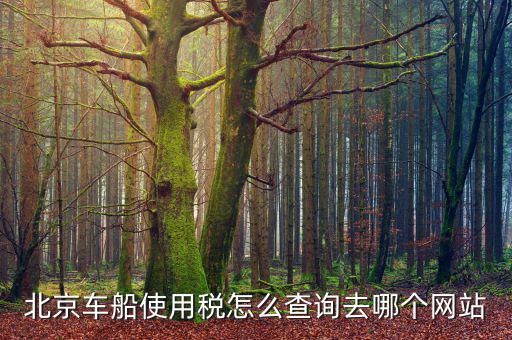 北京車船稅如何查詢系統(tǒng)，北京車船使用稅怎么查詢交沒交