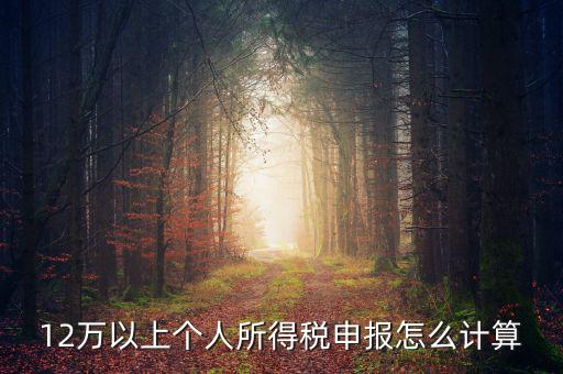 12萬(wàn)個(gè)人申報(bào)如何計(jì)算，如何計(jì)算12萬(wàn)元個(gè)人所得稅申報(bào)表