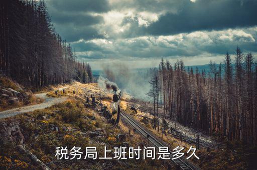 如何查詢辦稅務(wù)時(shí)間，想查詢自己的納稅記錄看是否滿五年請(qǐng)問去哪里可以