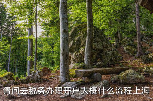 如何辦理稅務開戶，請問去稅務辦理開戶大概什么流程上海