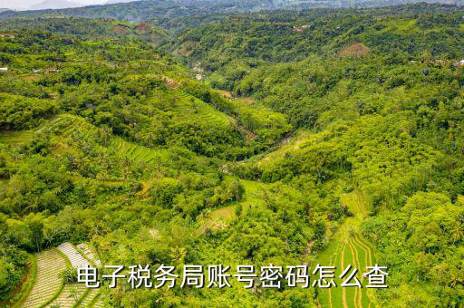 國稅賬戶如何查詢系統(tǒng)，電子稅務(wù)局賬號(hào)密碼怎么查