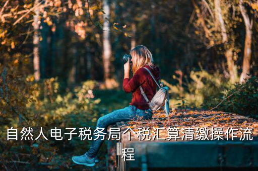 如何使用匯算清繳客戶端，自然人電子稅務(wù)局個稅匯算清繳操作流程