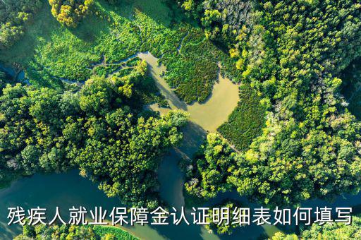 殘疾人就業(yè)保障金認(rèn)證明細(xì)表如何填寫(xiě)