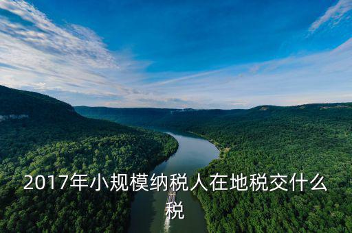2017年土地稅如何征收，2017年小規(guī)模納稅人在地稅交什么稅