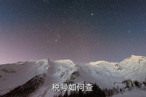 如何查詢公司稅務(wù)編號查詢，如何通過企業(yè)注冊號查詢企業(yè)稅務(wù)登記證號