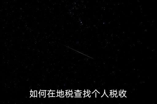 地稅局如何查個人所得稅，如何在地稅查找個人稅收