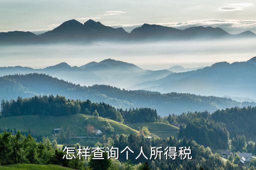 如何查詢個人交稅，個人所得稅繳納記錄怎么查詢