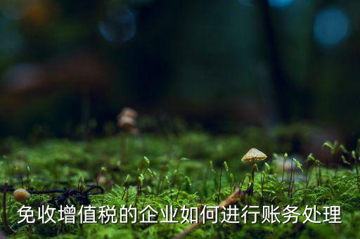 免稅的增值稅如何處理，增值稅免稅的處理