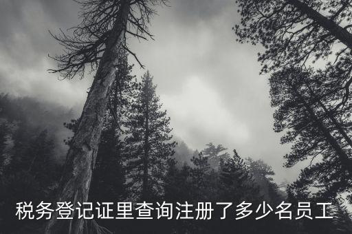 如何查詢公司辦稅人有誰(shuí)，稅務(wù)登記證里查詢注冊(cè)了多少名員工
