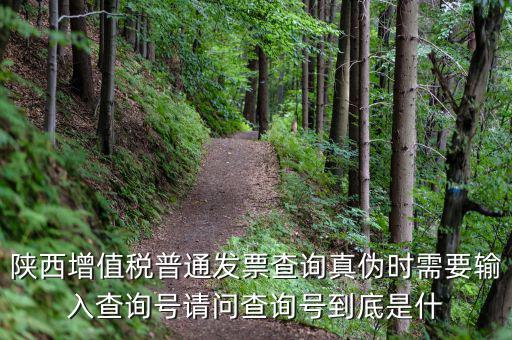 陜西省普通發(fā)票如何查詢(xún)系統(tǒng)，陜西國(guó)稅發(fā)票查詢(xún)號(hào)是做什么的