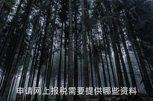 申請網上報稅需要提供哪些資料