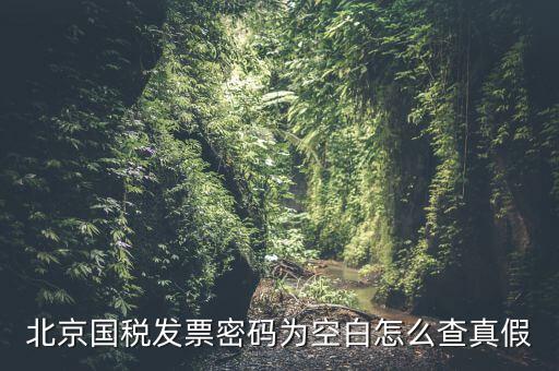 北京國稅發(fā)票真?zhèn)稳绾尾樵?，北京國稅發(fā)票密碼為空白怎么查真假