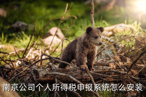 如何安裝金稅三期個(gè)稅安裝包，金稅三期在哪里下載