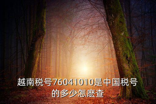 中國如何查個人稅號，越南稅號76041010是中國稅號的多少怎麼查