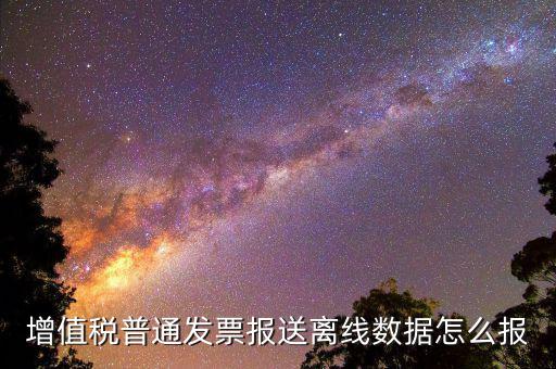 如何報(bào)送發(fā)票數(shù)據(jù)，河北國(guó)稅普通發(fā)票怎么報(bào)送