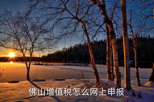 佛山地稅如何網(wǎng)上申報，佛山增值稅怎么網(wǎng)上申報