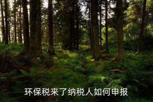 環(huán)境保護稅為0如何申報，每個月怎么0申報啊立即申報點不了灰色的
