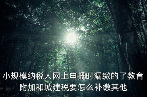 過了征期如何補交城建稅，請問城建稅忘記交怎么辦