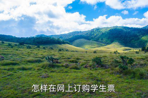 怎樣在網上訂購學生票