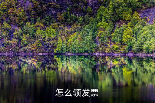 如何在網(wǎng)上領(lǐng)發(fā)票，怎樣領(lǐng)購發(fā)票
