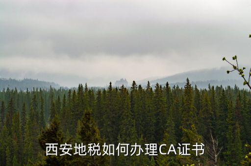如何申請(qǐng)地稅ca證書，西安地稅如何辦理CA證書