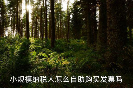 如何在自助機領(lǐng)購發(fā)票，小規(guī)模納稅人怎么自助購買發(fā)票嗎