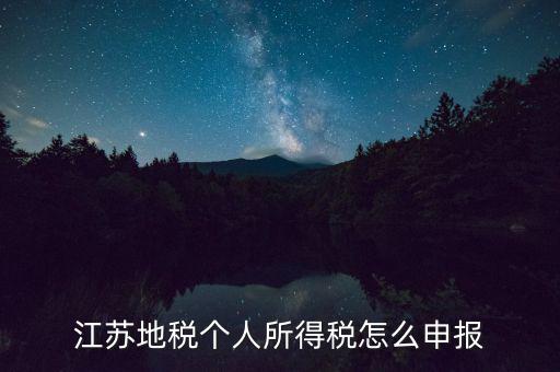 如何申報(bào)年稅江蘇，江蘇地稅個(gè)人所得稅怎么申報(bào)
